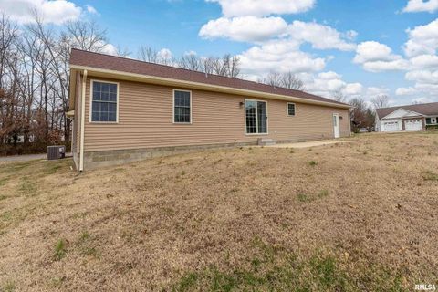 Tiny photo for 1101 CALIFORNIA Street, Carterville, IL 62918 (MLS # EB460810)