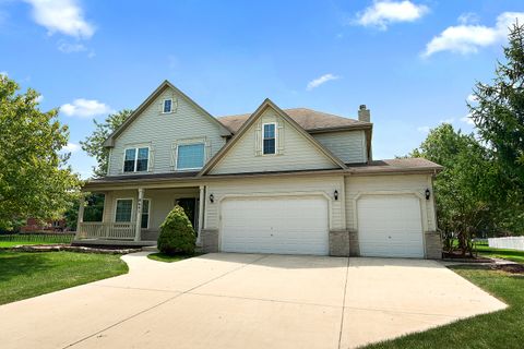 8643 SHIRE Court Frankfort IL 60423