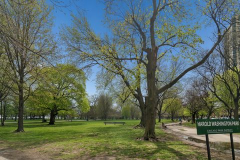 Tiny photo for Chicago, IL 60615 (MLS # 12632999)