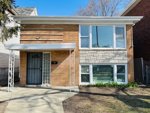 250 W 119th Street Chicago IL 60628