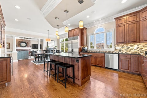 Tiny photo for 3N734 Herman Melville Lane, St. Charles, IL 60175 (MLS # 12706223)