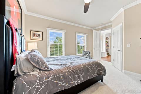 Tiny photo for 3N734 Herman Melville Lane, St. Charles, IL 60175 (MLS # 12706223)