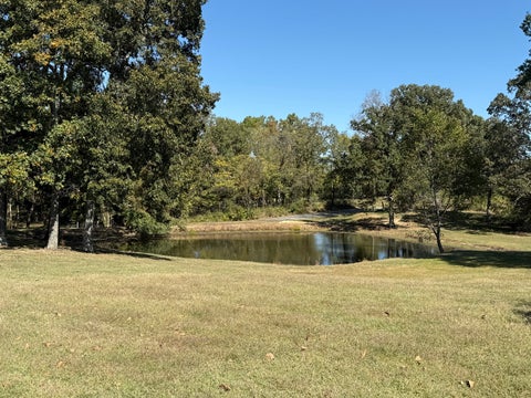 Tiny photo for 15011 Fowler School Road, Marion, IL 62959 (MLS # 12779587)