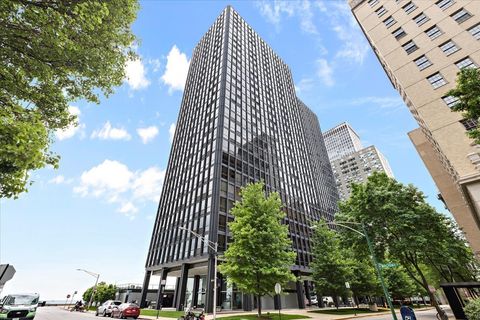 910 N Lake Shore Drive 1615 Chicago IL 60611