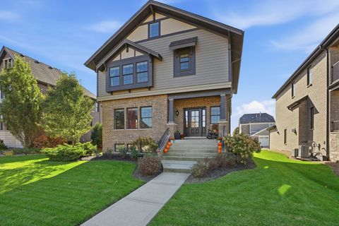 14627 Kildare Street Homer Glen IL 60491