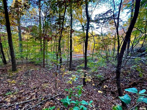 Tiny photo for 718 Karbers Ridge Road, Elizabethtown, IL 62931 (MLS # EB460367)