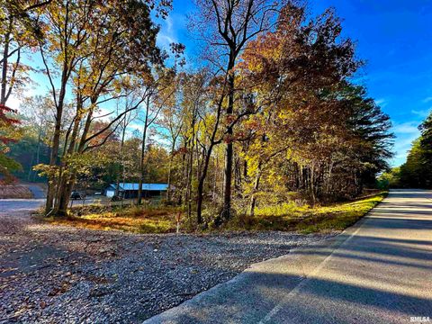 Tiny photo for 718 Karbers Ridge Road, Elizabethtown, IL 62931 (MLS # EB460367)