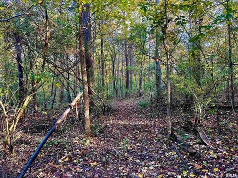 Tiny photo for 718 Karbers Ridge Road, Elizabethtown, IL 62931 (MLS # EB460367)