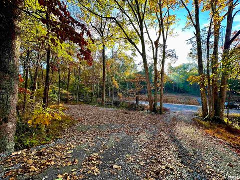 Tiny photo for 718 Karbers Ridge Road, Elizabethtown, IL 62931 (MLS # EB460367)