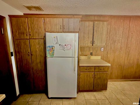 Tiny photo for 718 Karbers Ridge Road, Elizabethtown, IL 62931 (MLS # EB460367)