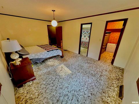 Tiny photo for 718 Karbers Ridge Road, Elizabethtown, IL 62931 (MLS # EB460367)