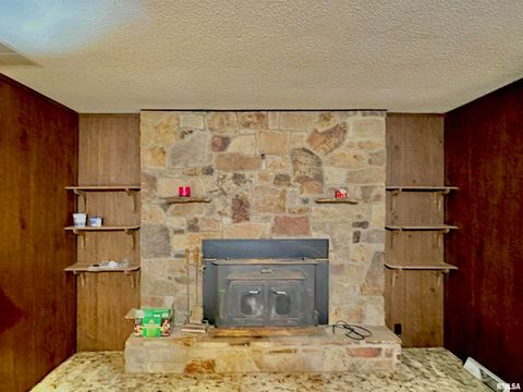 Tiny photo for 718 Karbers Ridge Road, Elizabethtown, IL 62931 (MLS # EB460367)