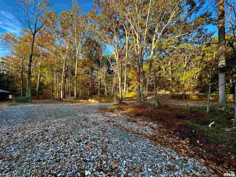 Tiny photo for 718 Karbers Ridge Road, Elizabethtown, IL 62931 (MLS # EB460367)