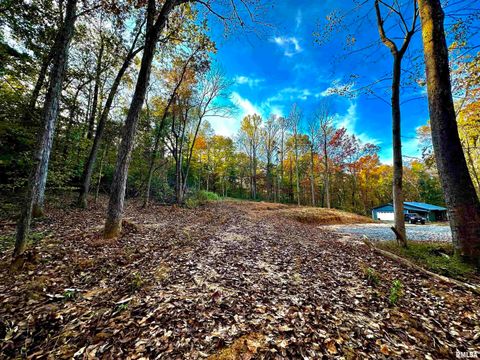 Tiny photo for 718 Karbers Ridge Road, Elizabethtown, IL 62931 (MLS # EB460367)