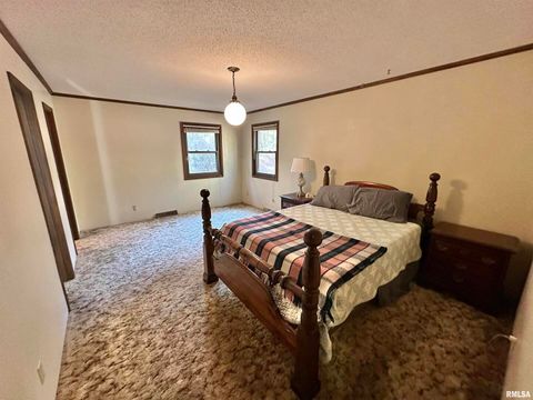 Tiny photo for 718 Karbers Ridge Road, Elizabethtown, IL 62931 (MLS # EB460367)