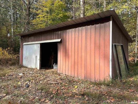 Tiny photo for 718 Karbers Ridge Road, Elizabethtown, IL 62931 (MLS # EB460367)