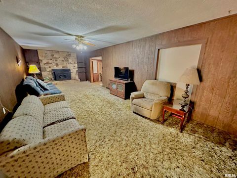 Tiny photo for 718 Karbers Ridge Road, Elizabethtown, IL 62931 (MLS # EB460367)