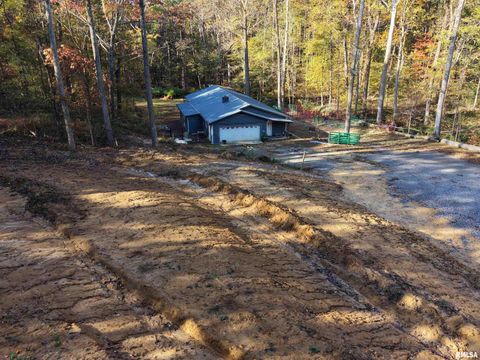 Tiny photo for 718 Karbers Ridge Road, Elizabethtown, IL 62931 (MLS # EB460367)