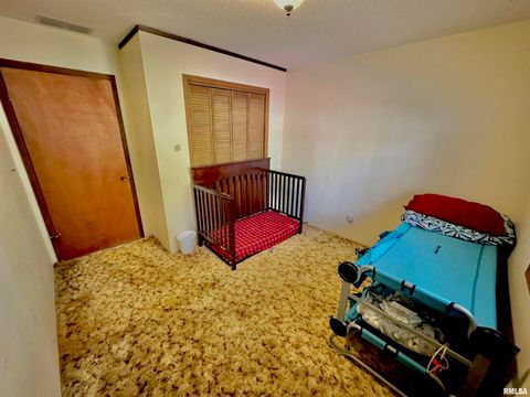 Tiny photo for 718 Karbers Ridge Road, Elizabethtown, IL 62931 (MLS # EB460367)