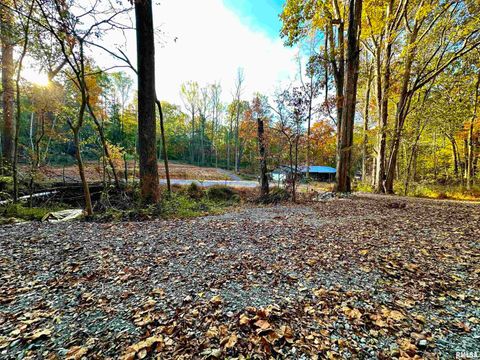 Tiny photo for 718 Karbers Ridge Road, Elizabethtown, IL 62931 (MLS # EB460367)