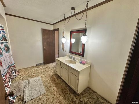 Tiny photo for 718 Karbers Ridge Road, Elizabethtown, IL 62931 (MLS # EB460367)