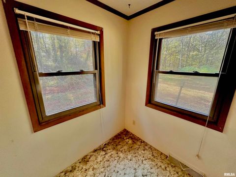 Tiny photo for 718 Karbers Ridge Road, Elizabethtown, IL 62931 (MLS # EB460367)