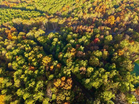 Tiny photo for 718 Karbers Ridge Road, Elizabethtown, IL 62931 (MLS # EB460367)