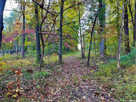 Tiny photo for 718 Karbers Ridge Road, Elizabethtown, IL 62931 (MLS # EB460367)