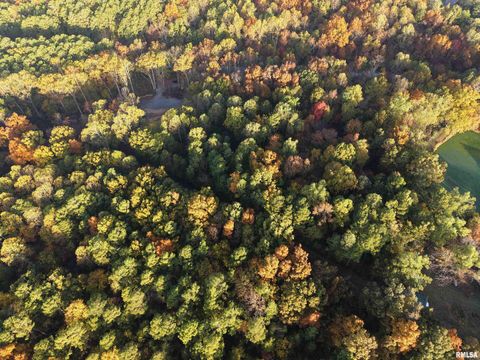 Tiny photo for 718 Karbers Ridge Road, Elizabethtown, IL 62931 (MLS # EB460367)