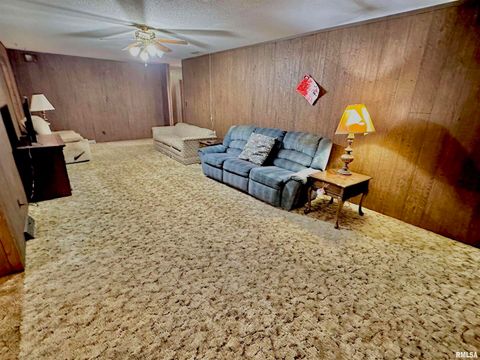 Tiny photo for 718 Karbers Ridge Road, Elizabethtown, IL 62931 (MLS # EB460367)