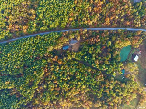 Tiny photo for 718 Karbers Ridge Road, Elizabethtown, IL 62931 (MLS # EB460367)