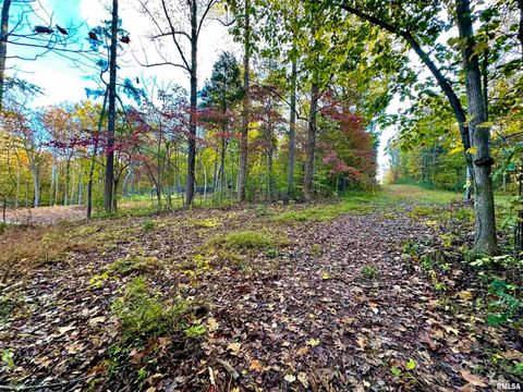 Tiny photo for 718 Karbers Ridge Road, Elizabethtown, IL 62931 (MLS # EB460367)