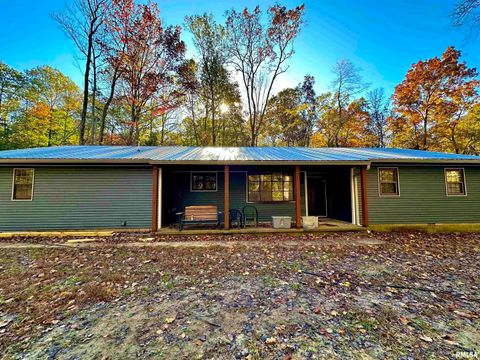 Tiny photo for 718 Karbers Ridge Road, Elizabethtown, IL 62931 (MLS # EB460367)