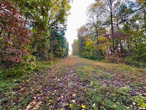 Tiny photo for 718 Karbers Ridge Road, Elizabethtown, IL 62931 (MLS # EB460367)