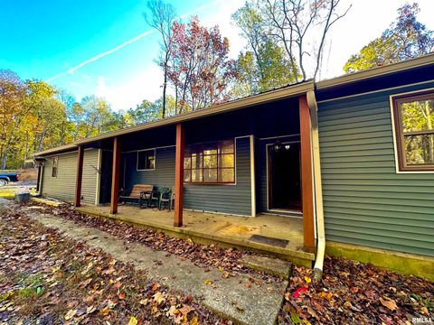 Tiny photo for 718 Karbers Ridge Road, Elizabethtown, IL 62931 (MLS # EB460367)