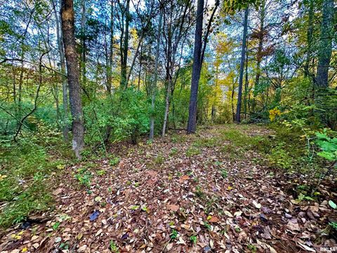 Tiny photo for 718 Karbers Ridge Road, Elizabethtown, IL 62931 (MLS # EB460367)