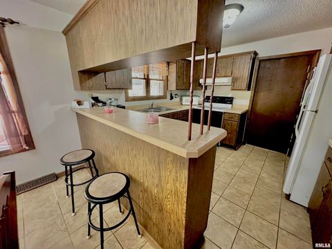 Tiny photo for 718 Karbers Ridge Road, Elizabethtown, IL 62931 (MLS # EB460367)