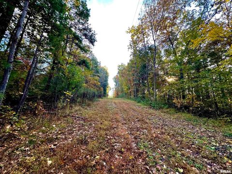 Tiny photo for 718 Karbers Ridge Road, Elizabethtown, IL 62931 (MLS # EB460367)