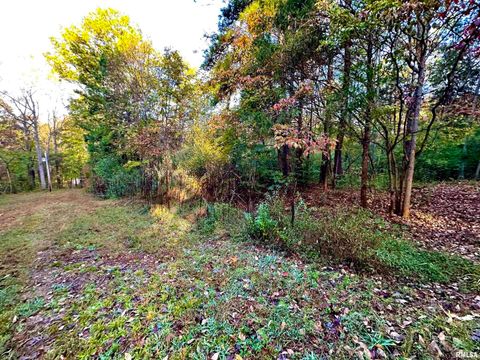 Tiny photo for 718 Karbers Ridge Road, Elizabethtown, IL 62931 (MLS # EB460367)