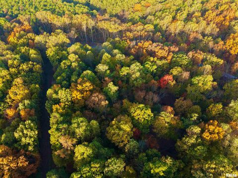 Tiny photo for 718 Karbers Ridge Road, Elizabethtown, IL 62931 (MLS # EB460367)