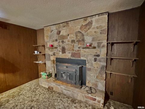 Tiny photo for 718 Karbers Ridge Road, Elizabethtown, IL 62931 (MLS # EB460367)