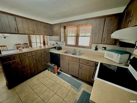 Tiny photo for 718 Karbers Ridge Road, Elizabethtown, IL 62931 (MLS # EB460367)