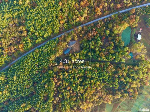 Tiny photo for 718 Karbers Ridge Road, Elizabethtown, IL 62931 (MLS # EB460367)