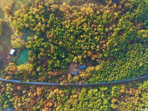 Tiny photo for 718 Karbers Ridge Road, Elizabethtown, IL 62931 (MLS # EB460367)