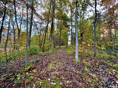 Tiny photo for 718 Karbers Ridge Road, Elizabethtown, IL 62931 (MLS # EB460367)