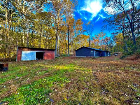 Tiny photo for 718 Karbers Ridge Road, Elizabethtown, IL 62931 (MLS # EB460367)