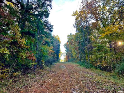 Tiny photo for 718 Karbers Ridge Road, Elizabethtown, IL 62931 (MLS # EB460367)