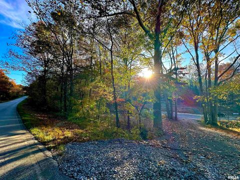 Tiny photo for 718 Karbers Ridge Road, Elizabethtown, IL 62931 (MLS # EB460367)