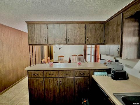 Tiny photo for 718 Karbers Ridge Road, Elizabethtown, IL 62931 (MLS # EB460367)