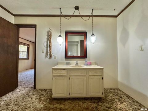 Tiny photo for 718 Karbers Ridge Road, Elizabethtown, IL 62931 (MLS # EB460367)